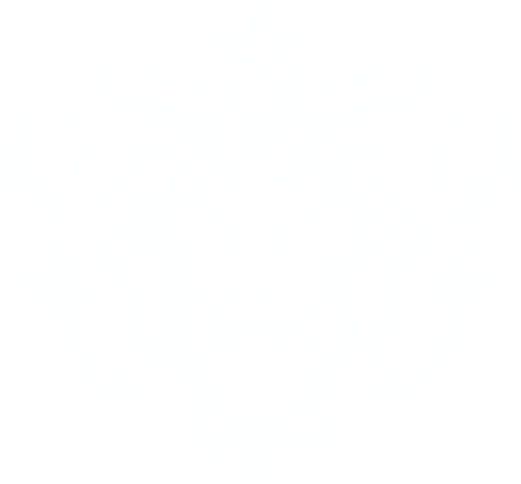 team tigers logo